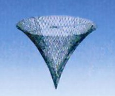 �A�F�w��̖��